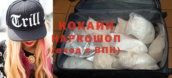 стаф Каменногорск