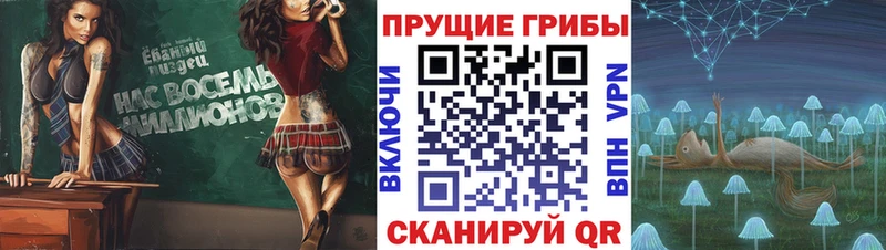 Галлюциногенные грибы GOLDEN TEACHER Теберда
